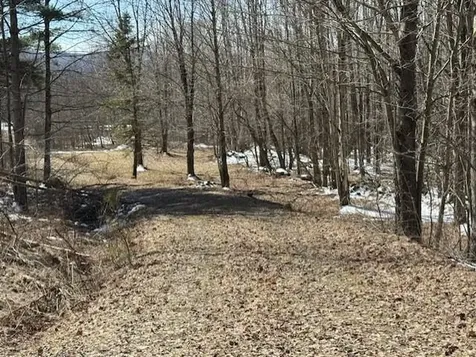 1749 Regan Road Montgomery VT 05471