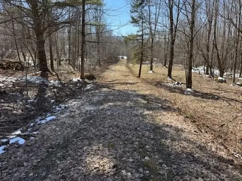 1749 Regan Road Montgomery VT 05471