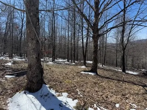 1749 Regan Road Montgomery VT 05471