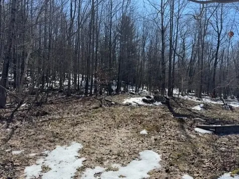 1749 Regan Road Montgomery VT 05471