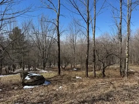 1749 Regan Road Montgomery VT 05471