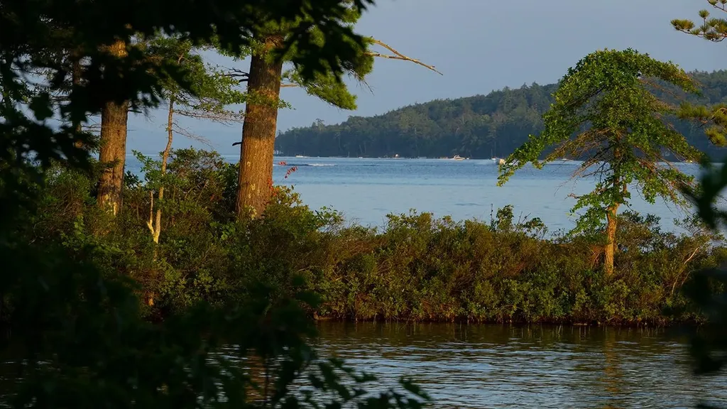 1 Little Beaver Island Meredith NH 03253