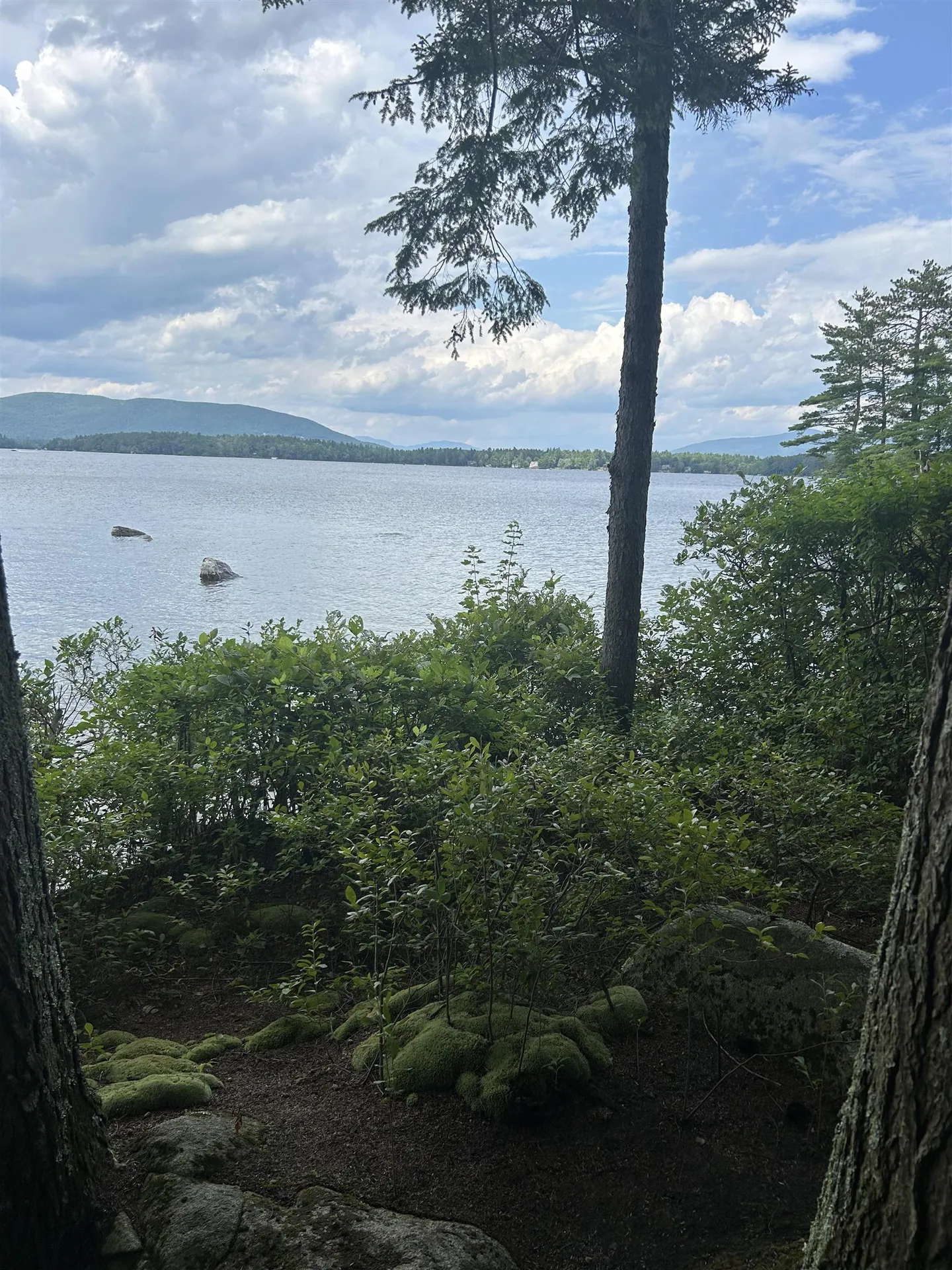 1 Little Beaver Island Meredith NH 03253