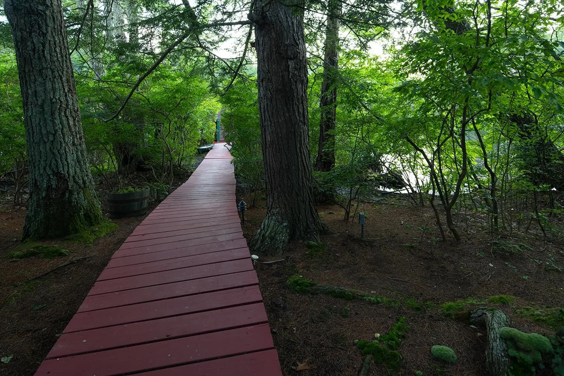 1 Little Beaver Island Meredith NH 03253