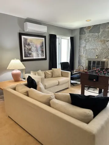 47 Crown Point Drive Stratton VT 05155