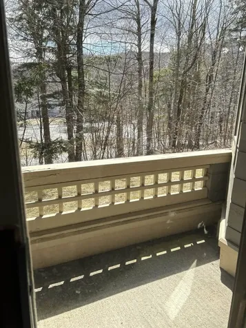47 Crown Point Drive Stratton VT 05155