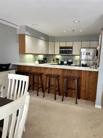 47 Crown Point Drive Stratton VT 05155