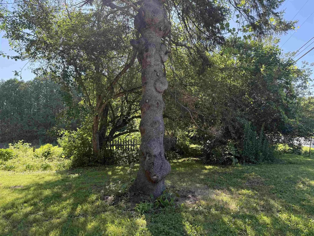 124 Three Mile Bridge Road Middlesex VT 05602-8611