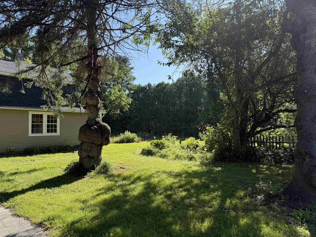 124 Three Mile Bridge Road Middlesex VT 05602-8611