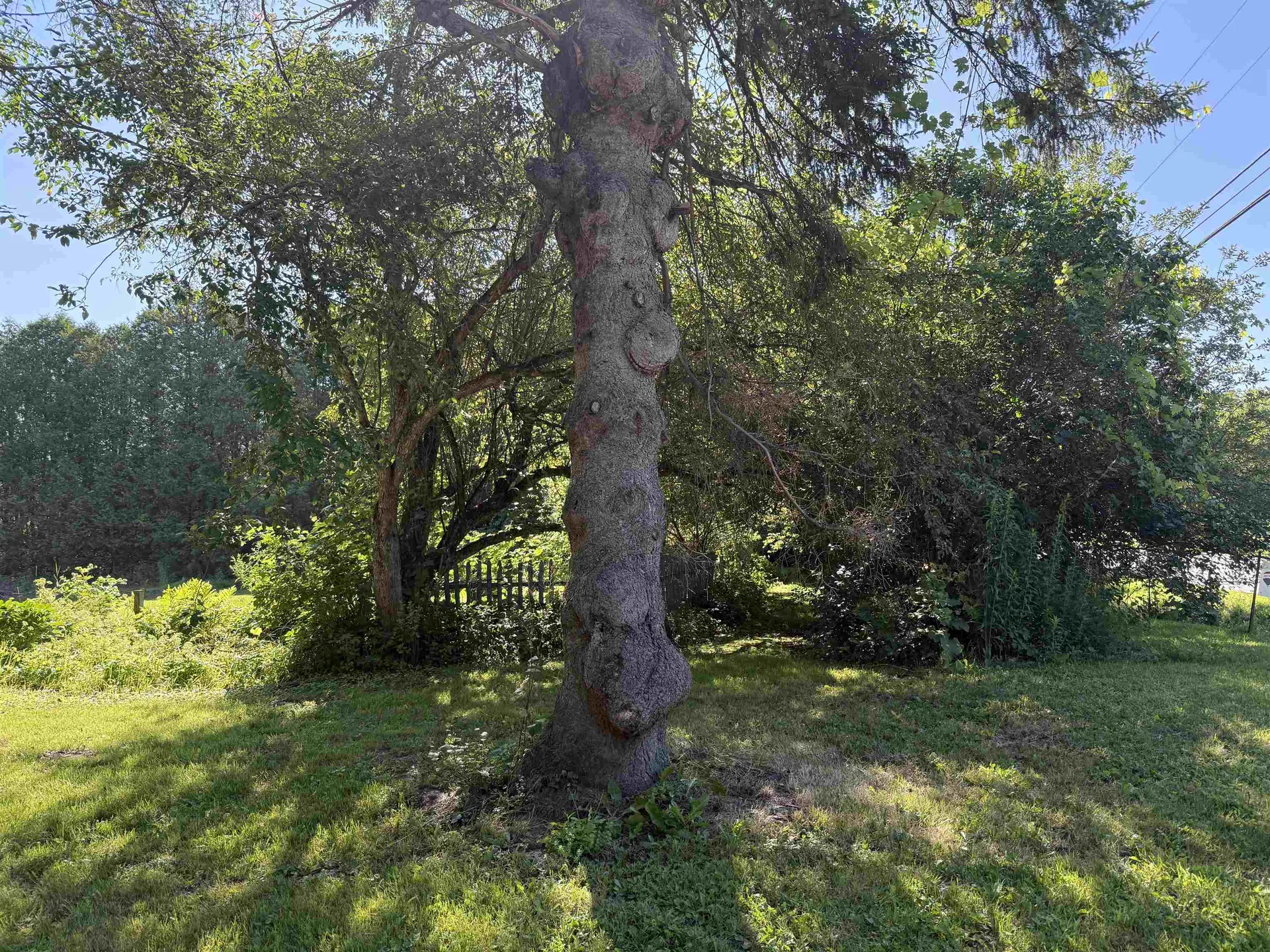 124 Three Mile Bridge Road Middlesex VT 05602-8611