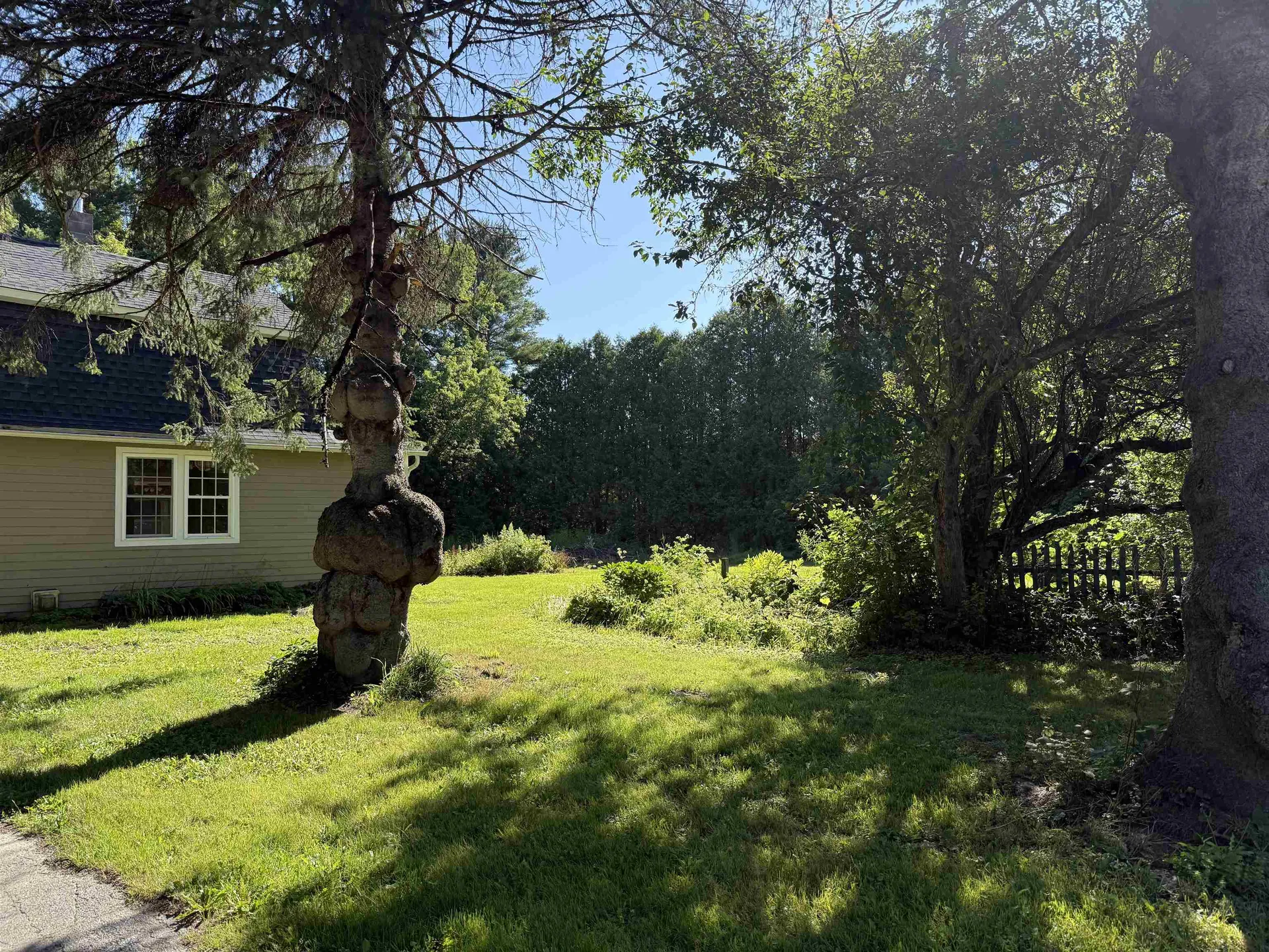 124 Three Mile Bridge Road Middlesex VT 05602-8611