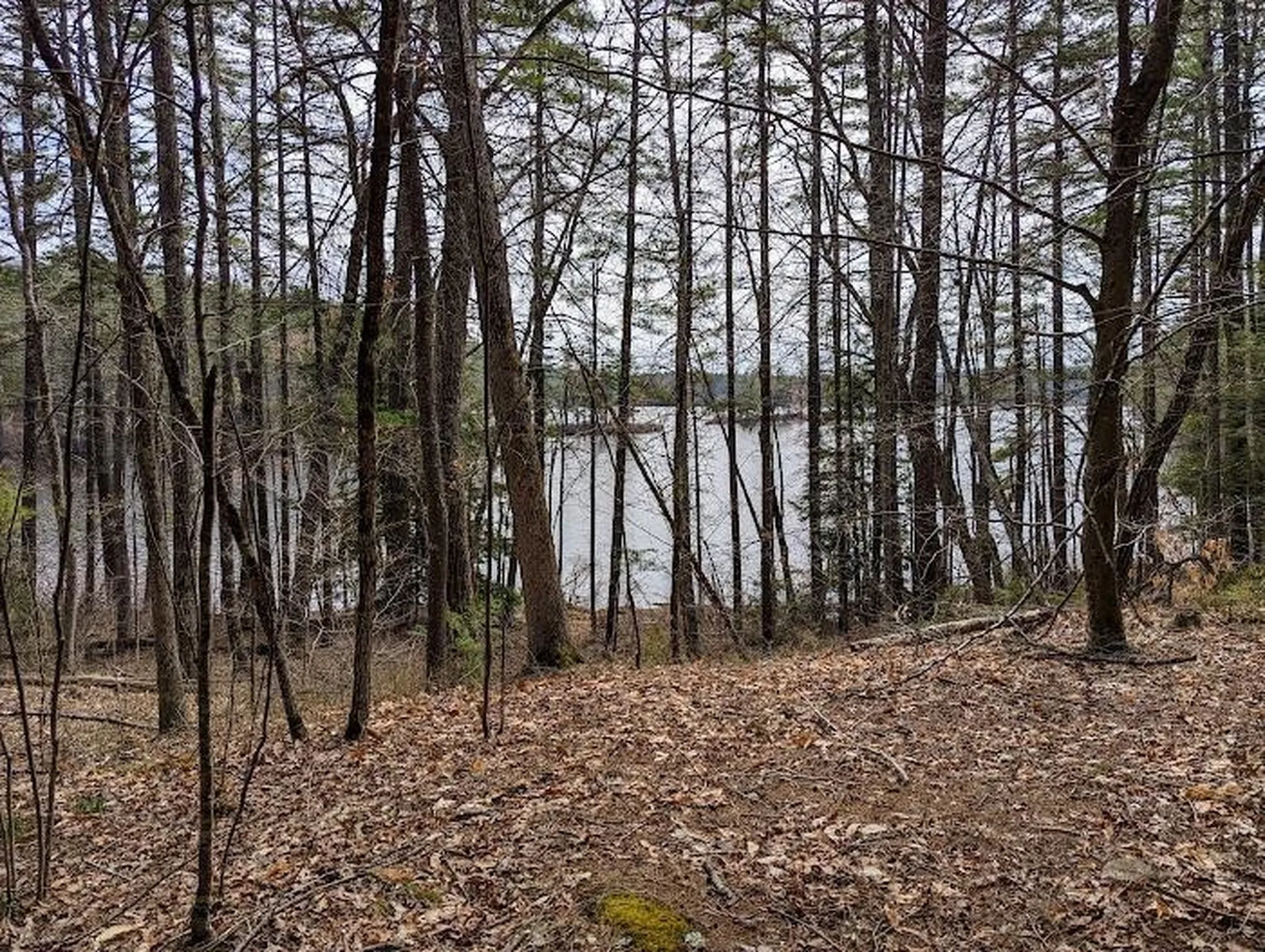 1301 Bound Tree Road Hopkinton NH 03229