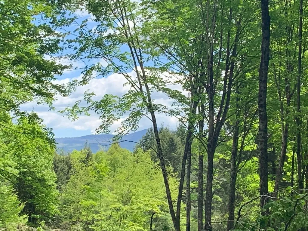 00 Vt Route 14 East Montpelier VT 05651