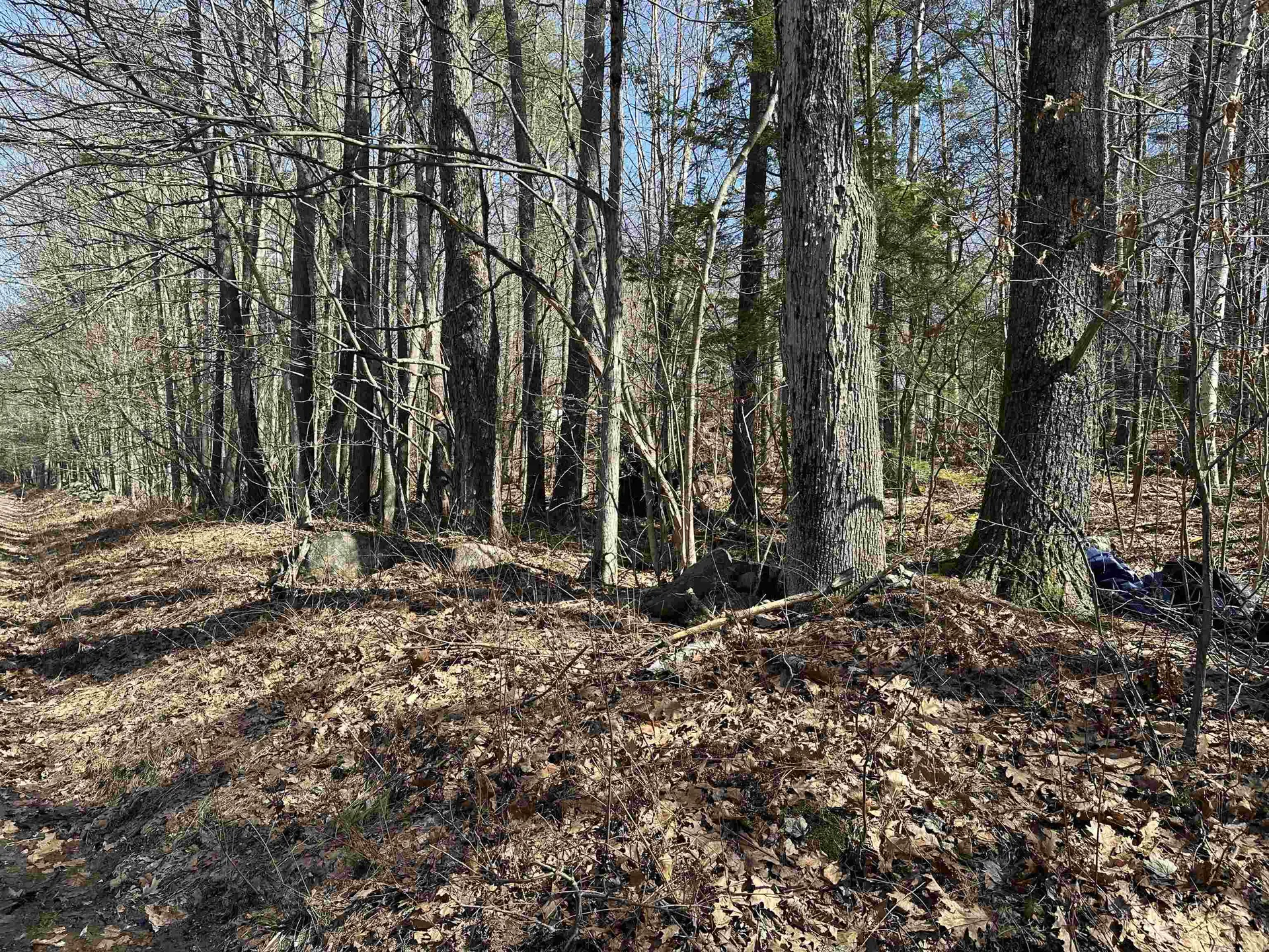 400 Manning Hill Road Winchester NH 03470