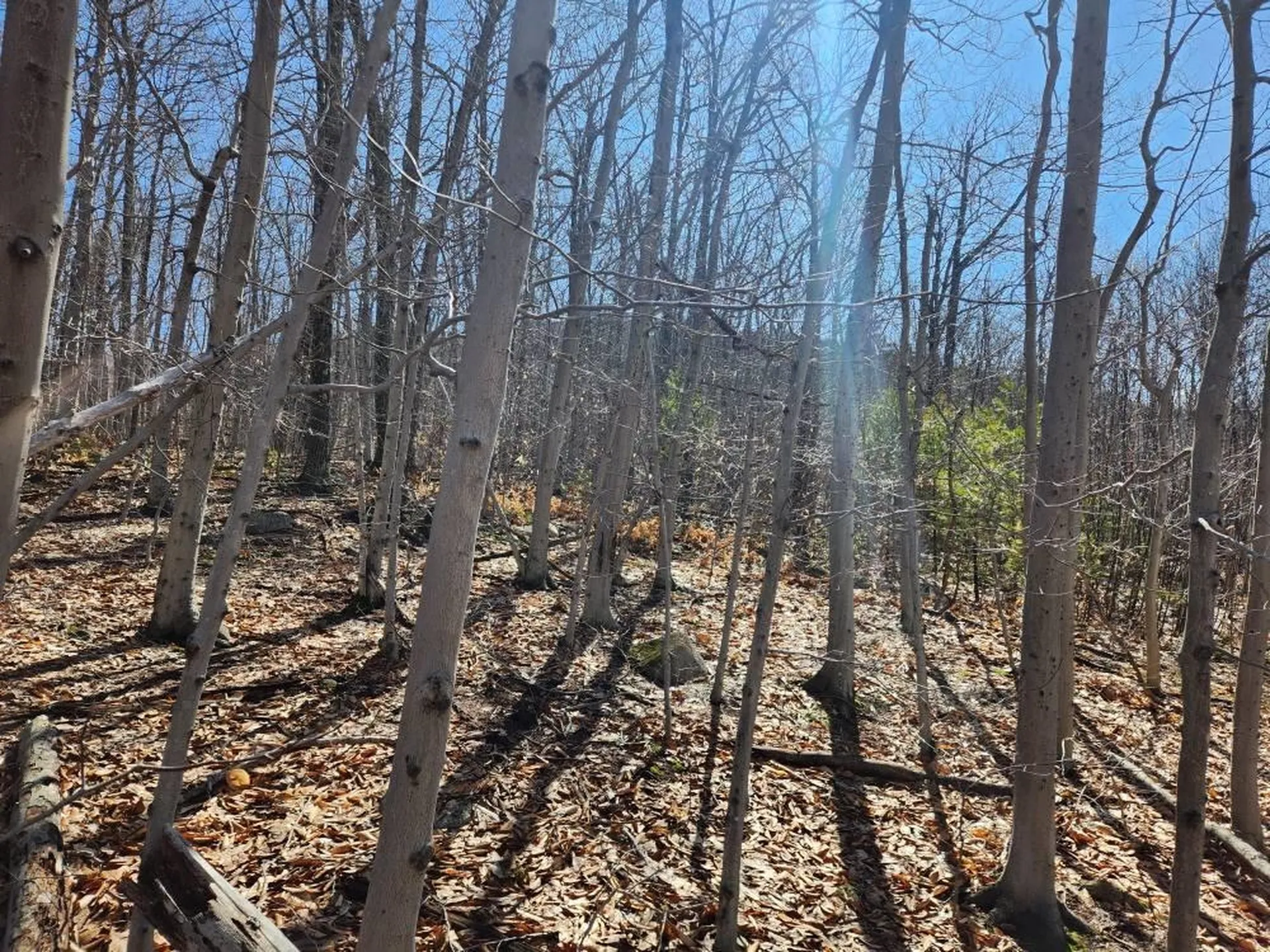 0 Frohock Brook Road Alton NH 03810