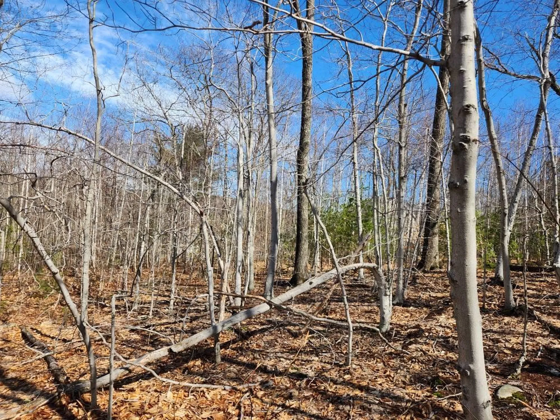 0 Frohock Brook Road Alton NH 03810