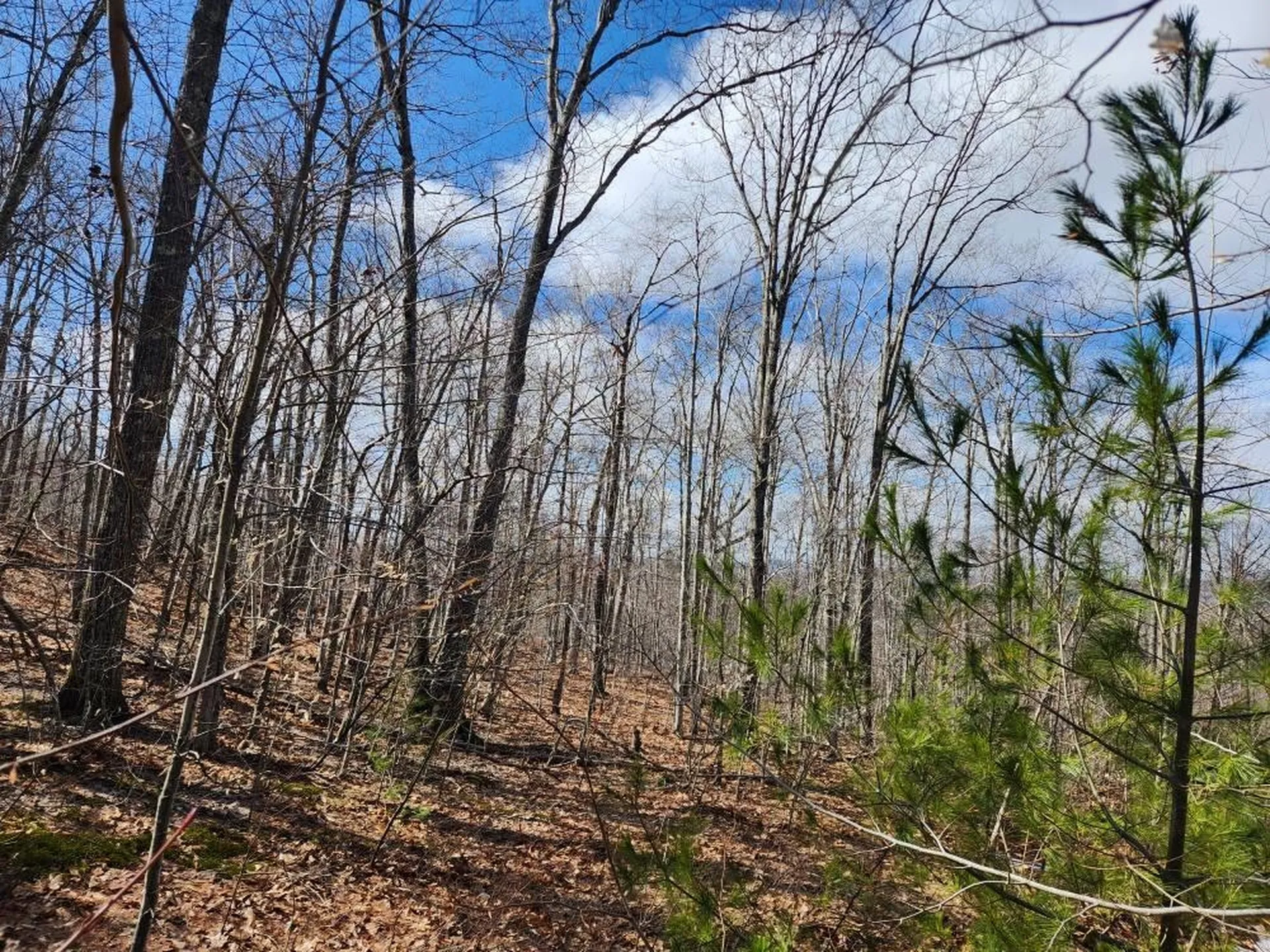 0 Frohock Brook Road Alton NH 03810