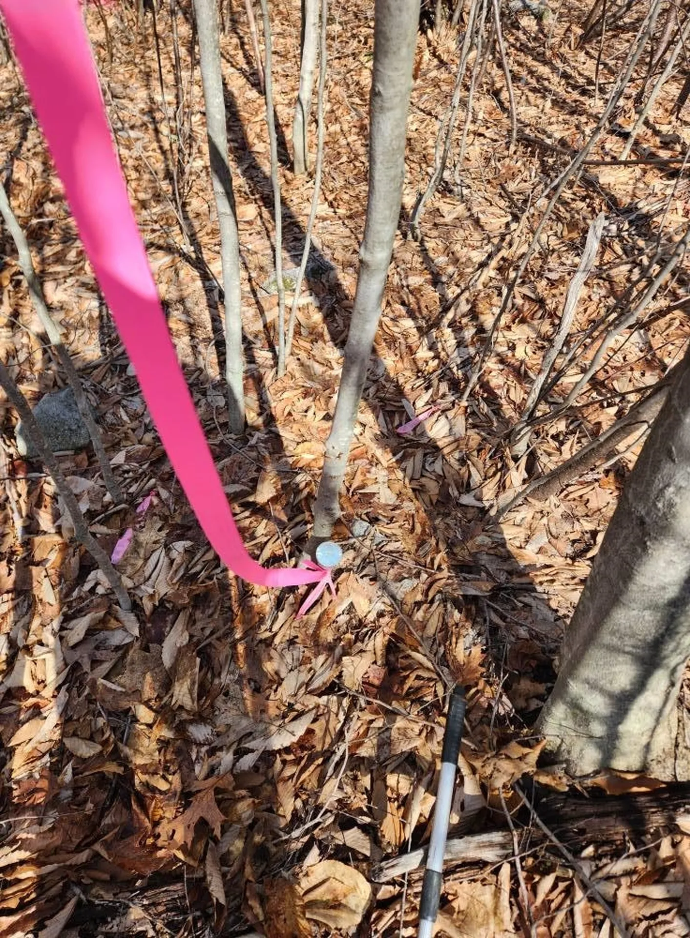 0 Frohock Brook Road Alton NH 03810