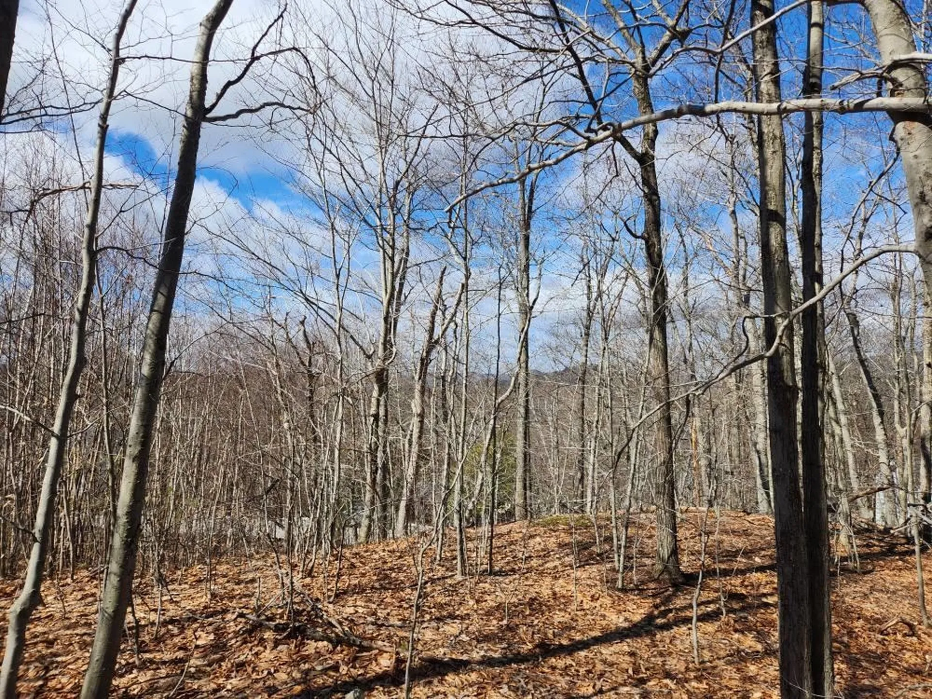 0 Frohock Brook Road Alton NH 03810