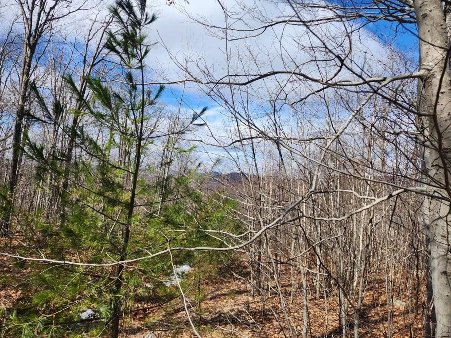 0 Frohock Brook Road Alton NH 03810