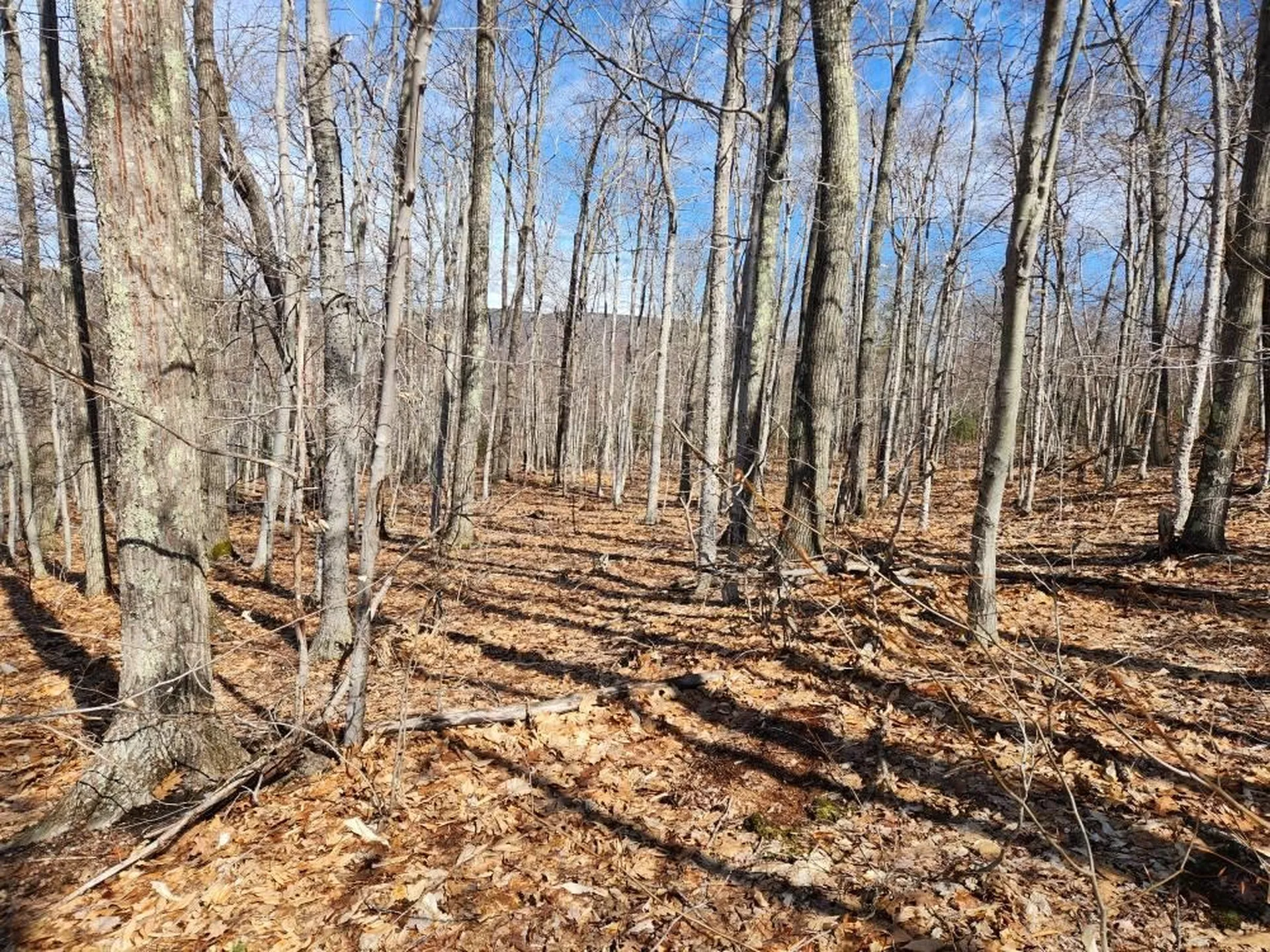 0 Frohock Brook Road Alton NH 03810