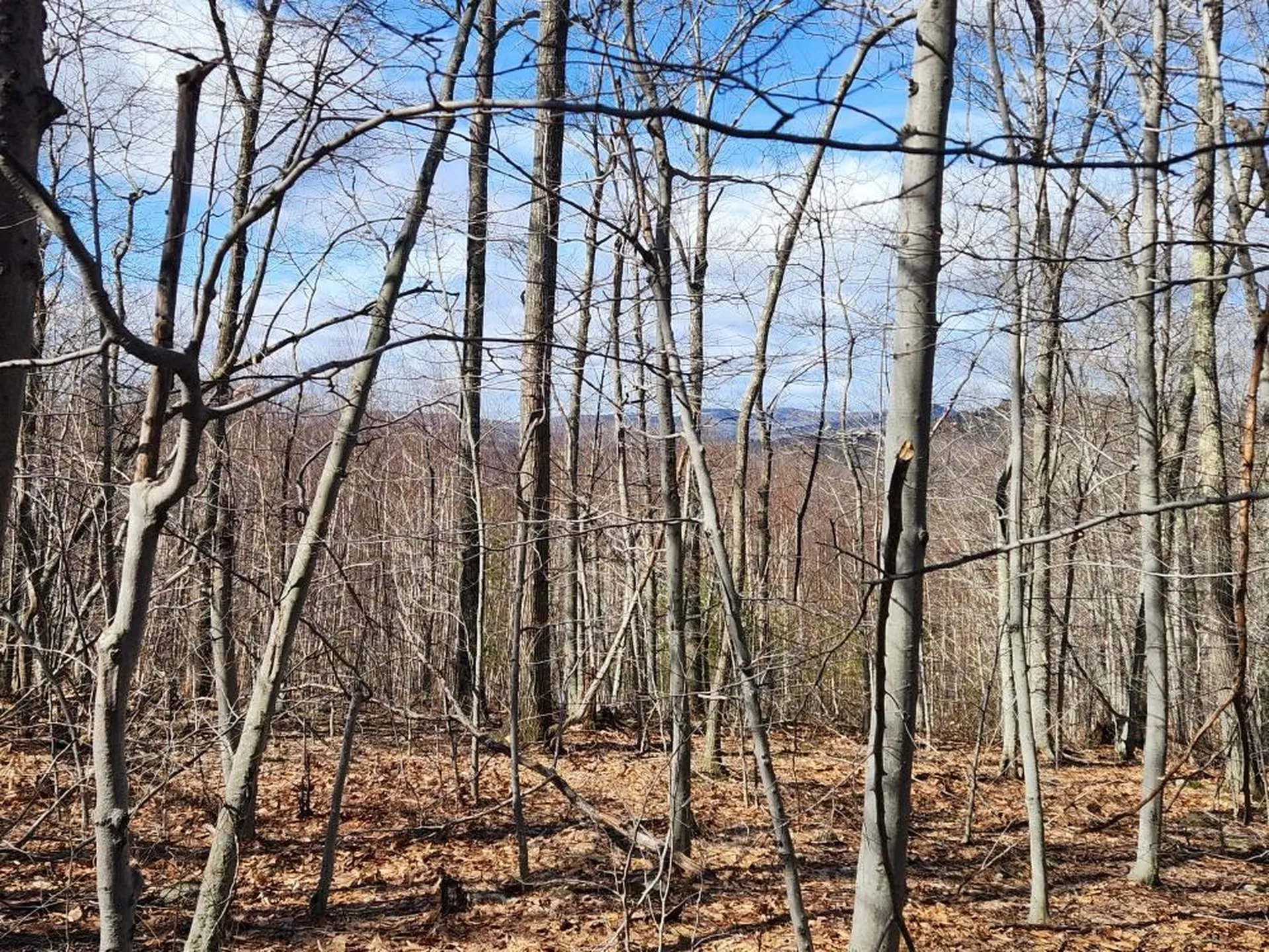 0 Frohock Brook Road Alton NH 03810