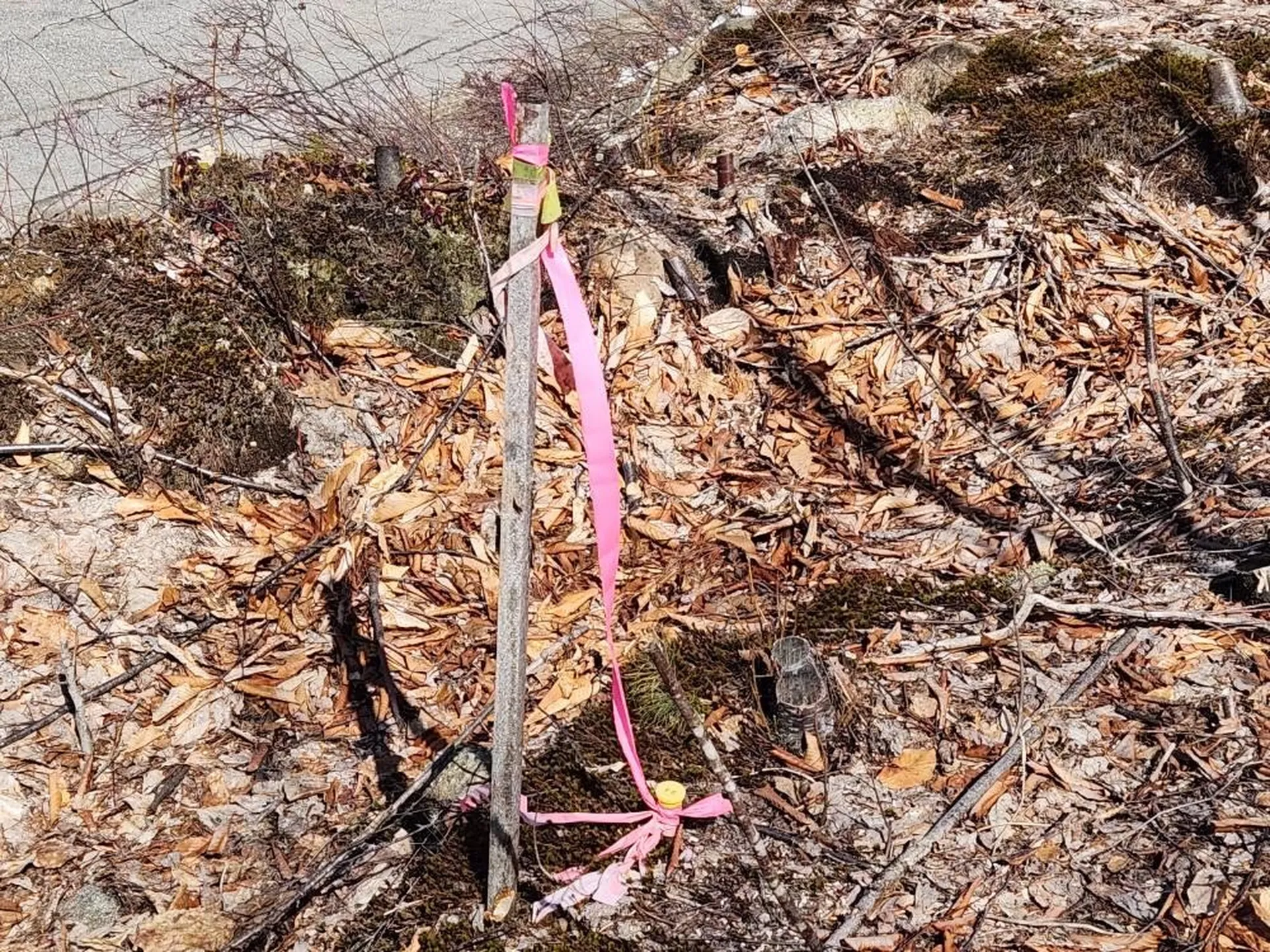 0 Frohock Brook Road Alton NH 03810