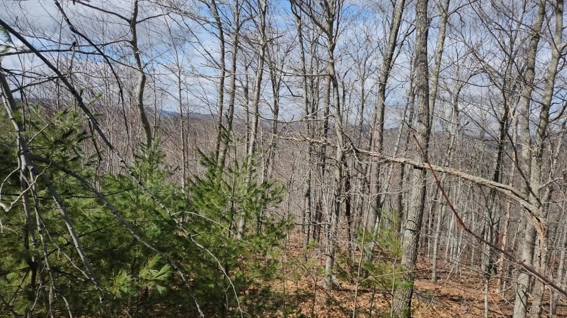 0 Frohock Brook Road Alton NH 03810