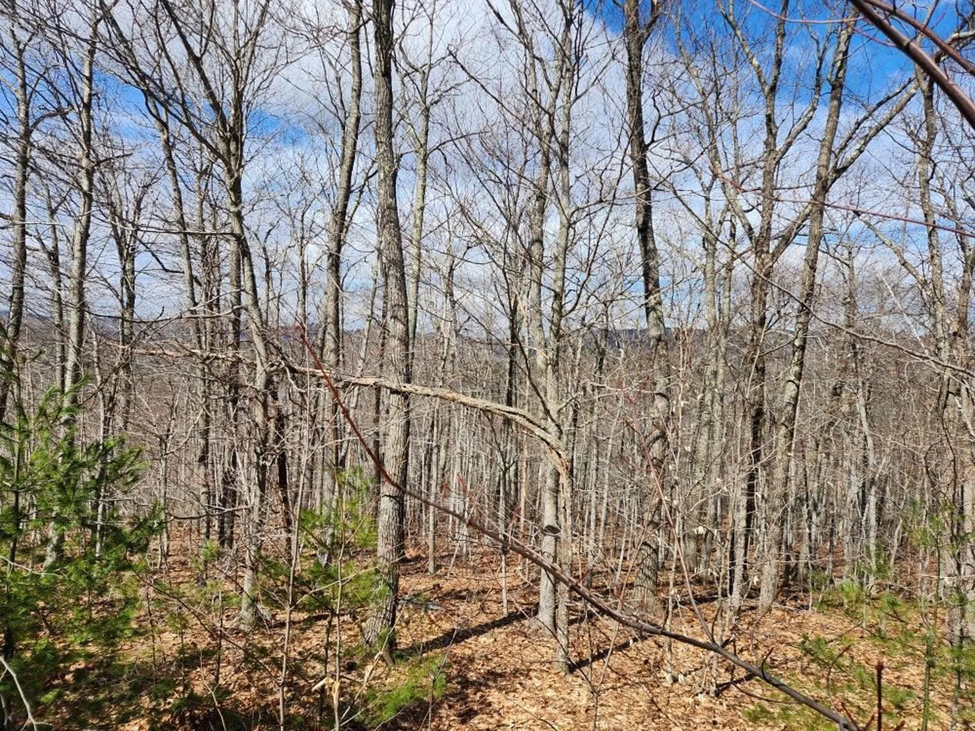 0 Frohock Brook Road Alton NH 03810