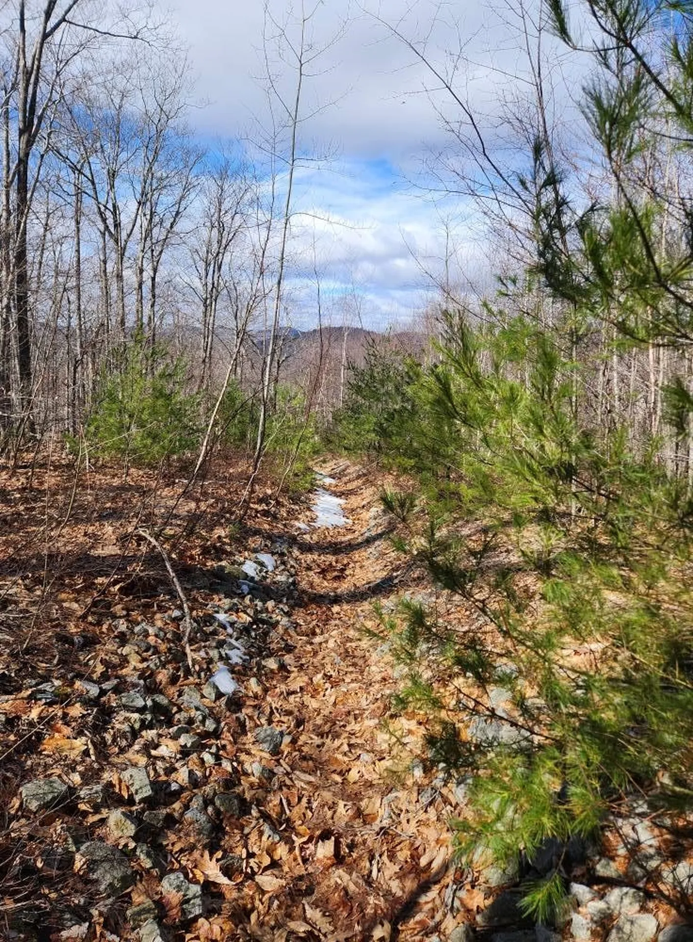 0 Frohock Brook Road Alton NH 03810