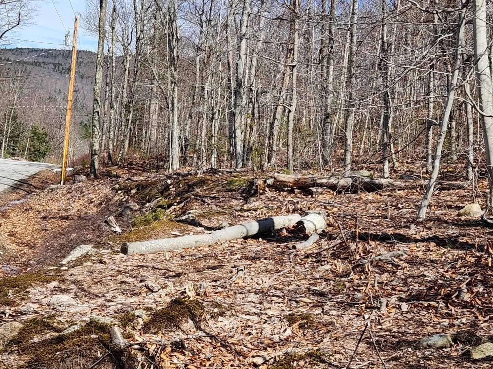 0 Frohock Brook Road Alton NH 03810