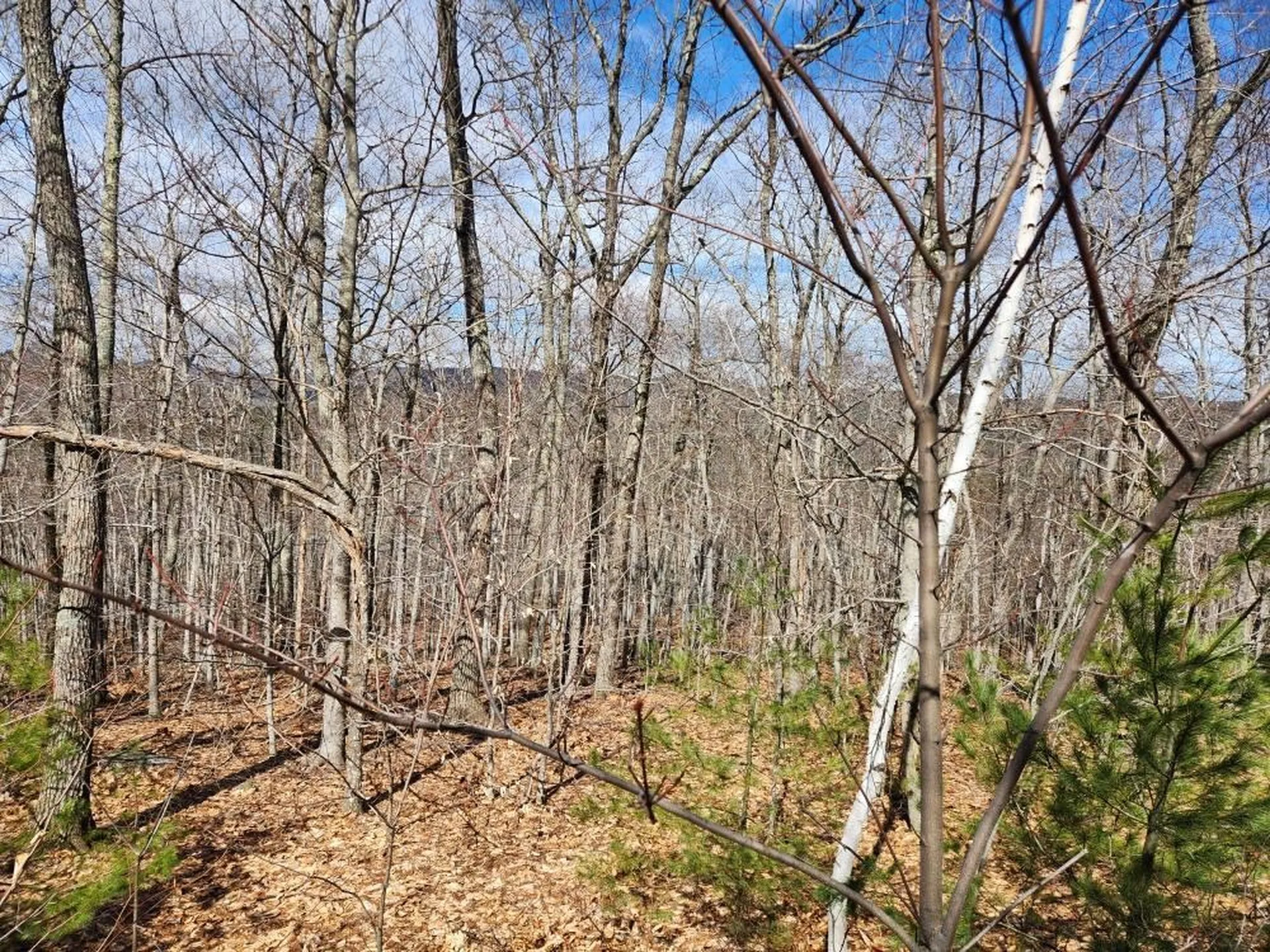 0 Frohock Brook Road Alton NH 03810