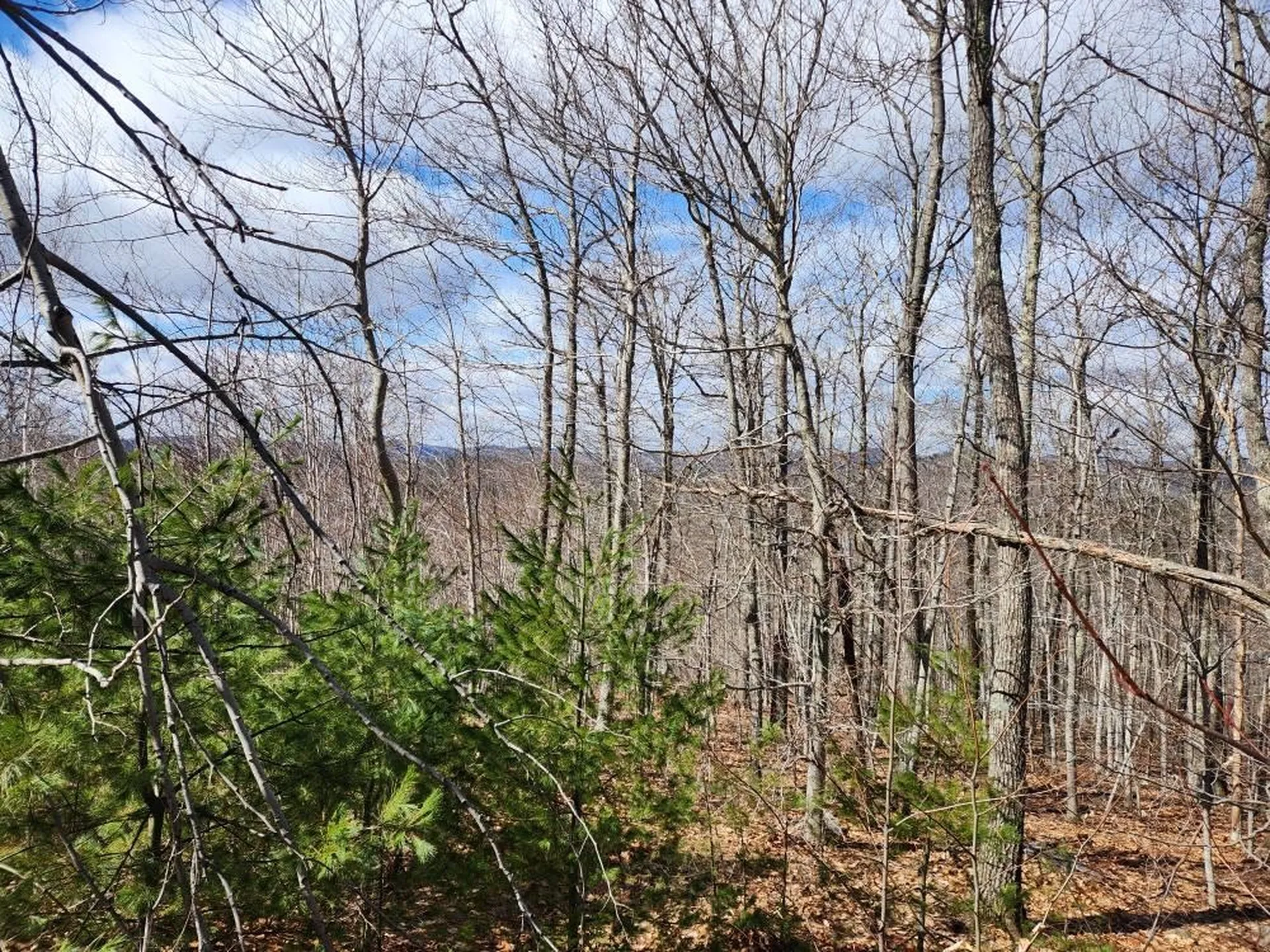 0 Frohock Brook Road Alton NH 03810