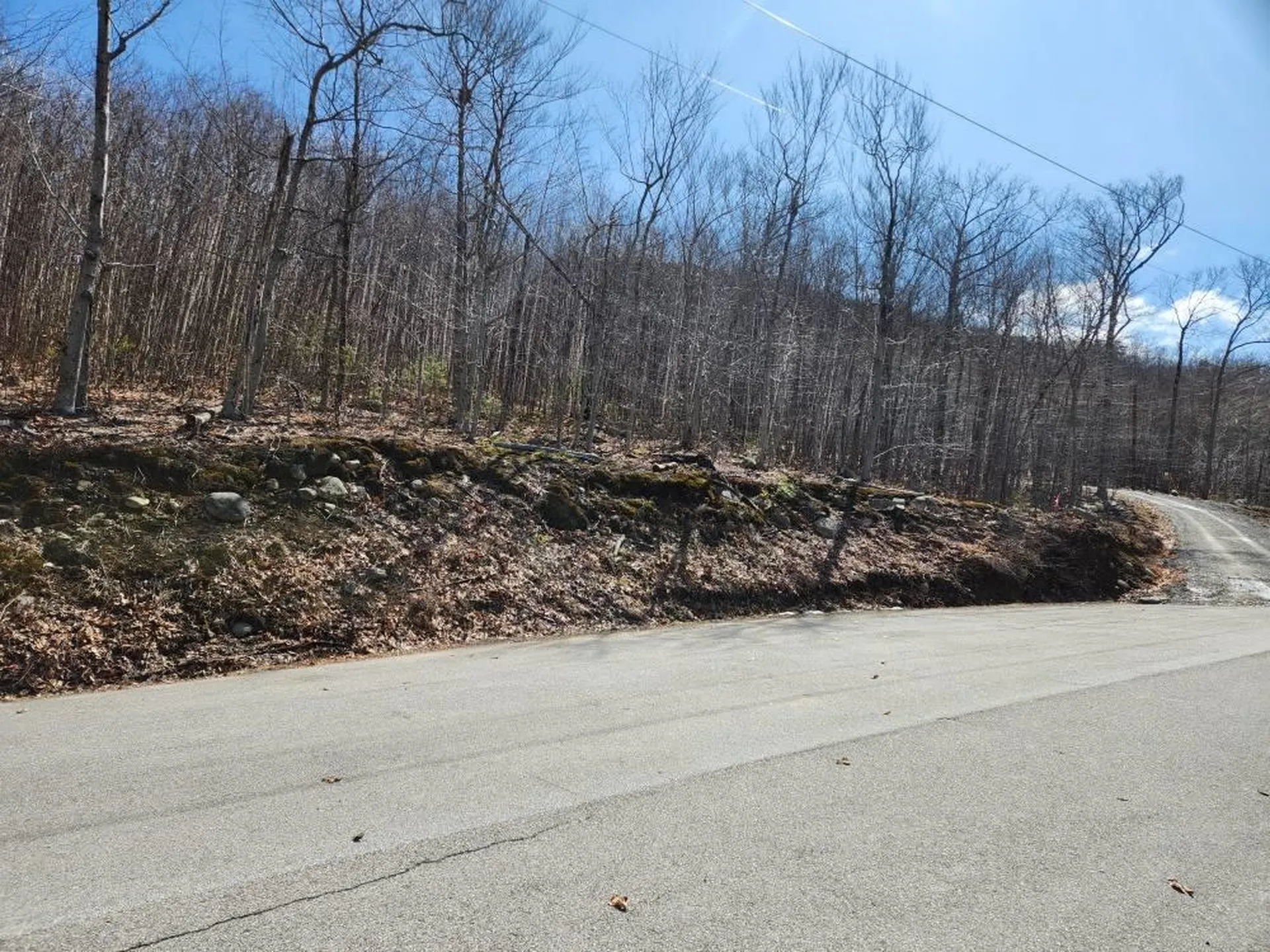 0 Frohock Brook Road Alton NH 03810