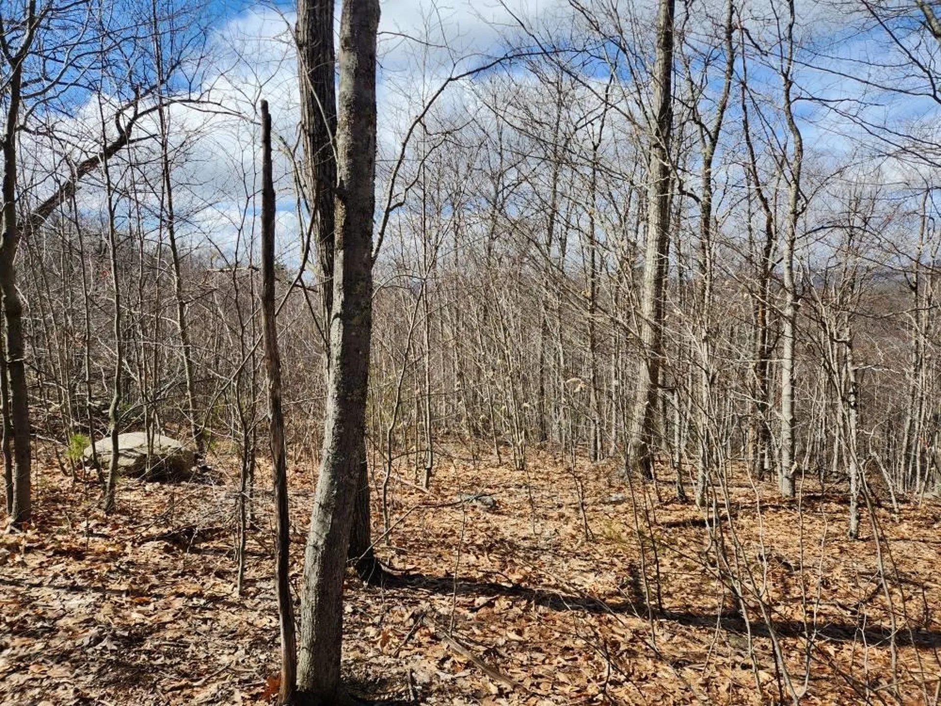 0 Frohock Brook Road Alton NH 03810