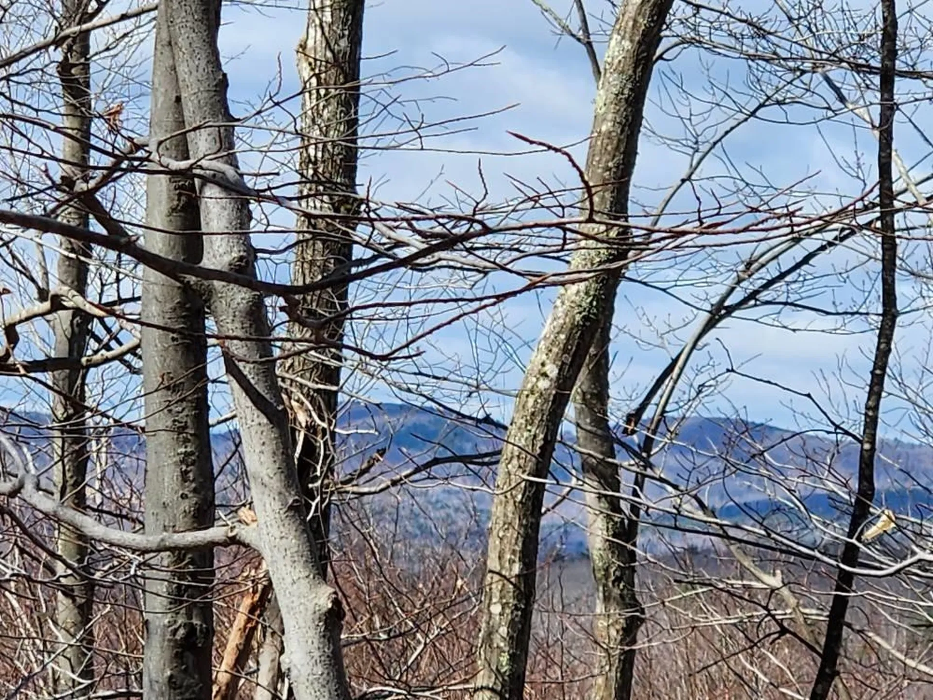 0 Frohock Brook Road Alton NH 03810