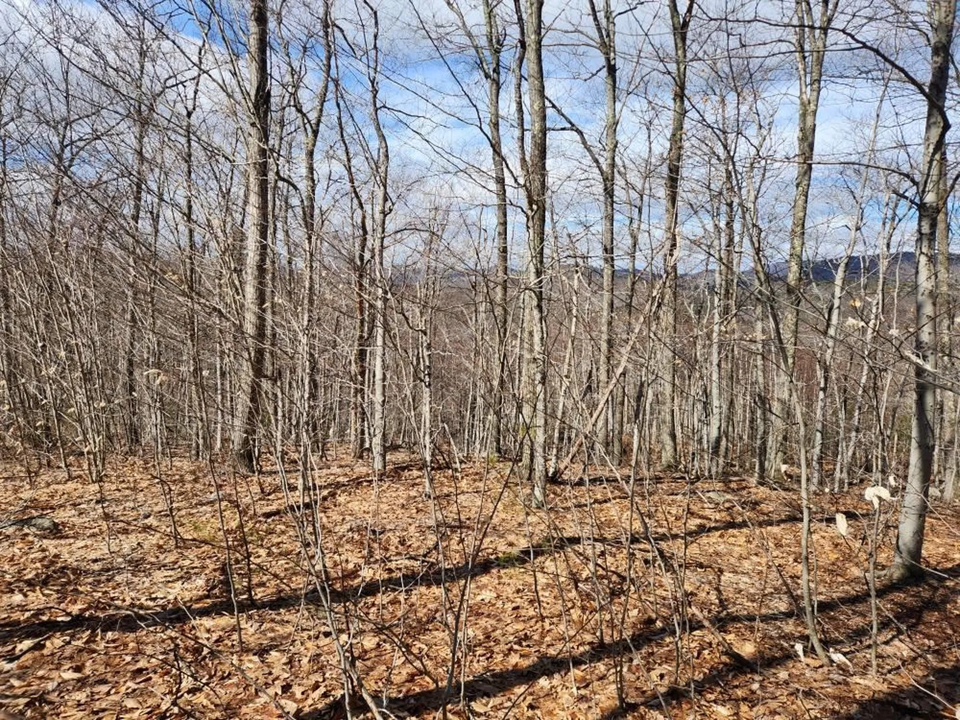 0 Frohock Brook Road Alton NH 03810