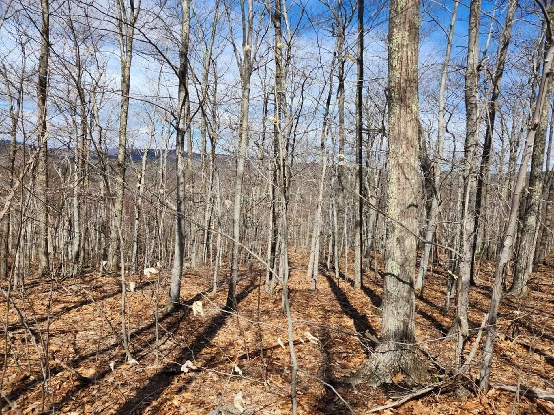 0 Frohock Brook Road Alton NH 03810