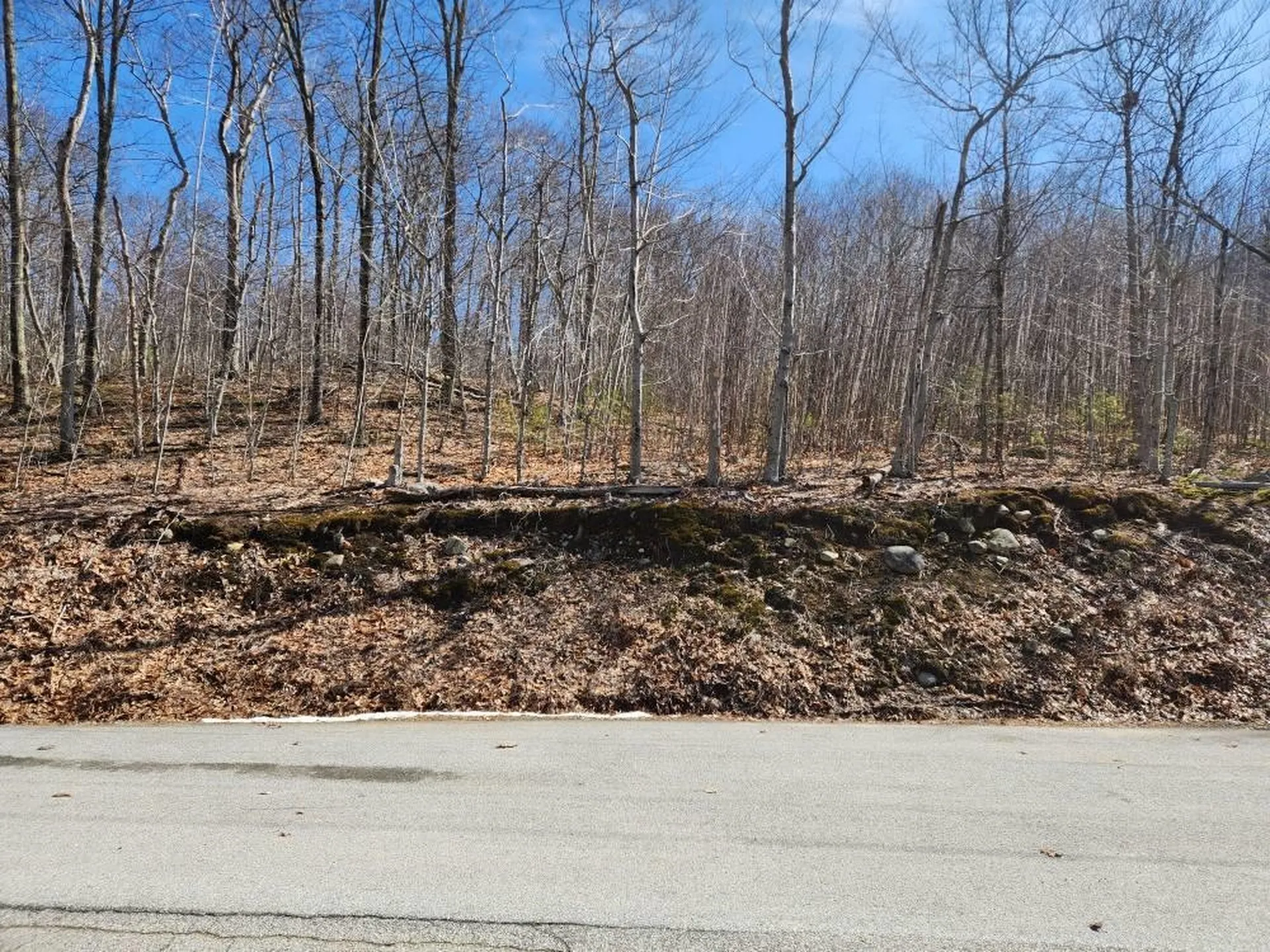 0 Frohock Brook Road Alton NH 03810