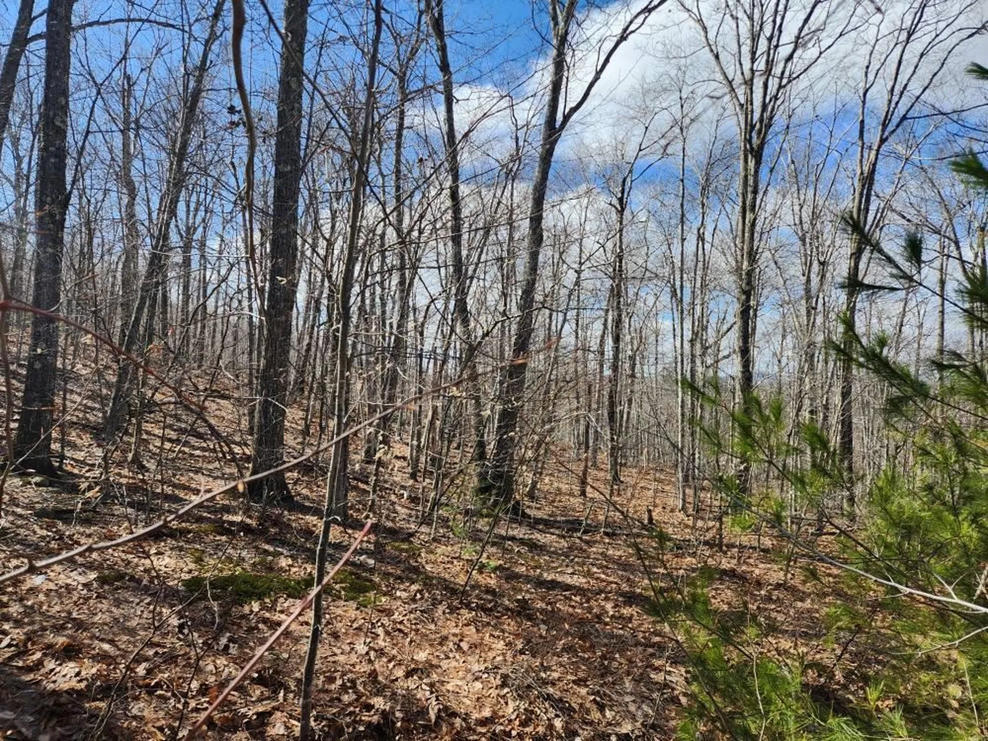 0 Frohock Brook Road Alton NH 03810