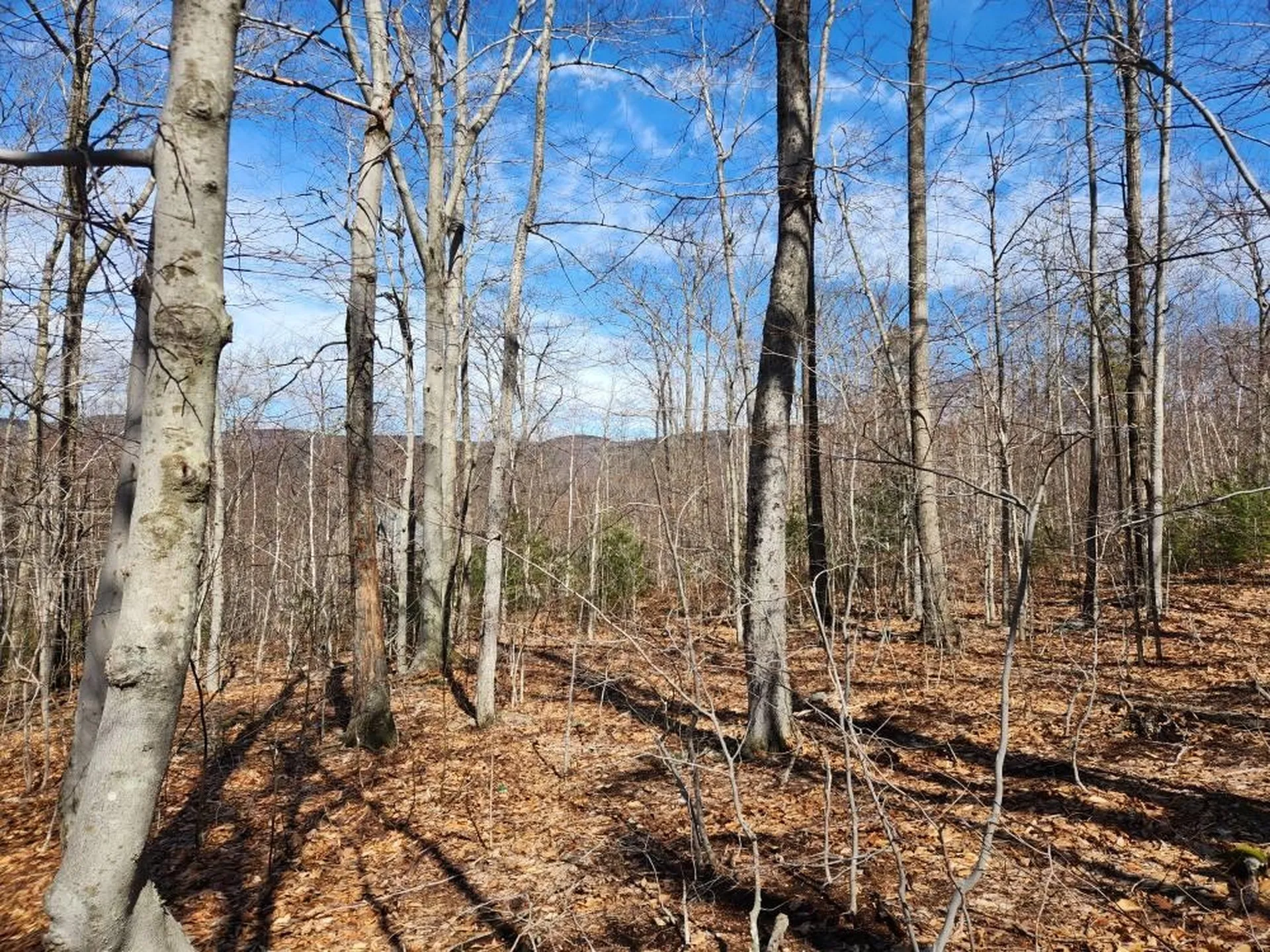 0 Frohock Brook Road Alton NH 03810