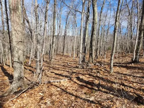 0 Frohock Brook Road Alton NH 03810