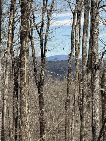 89 Arcadian Way Hartford VT 05059-3046