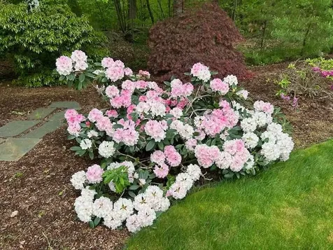 9 Copeland Drive Hudson NH 03051