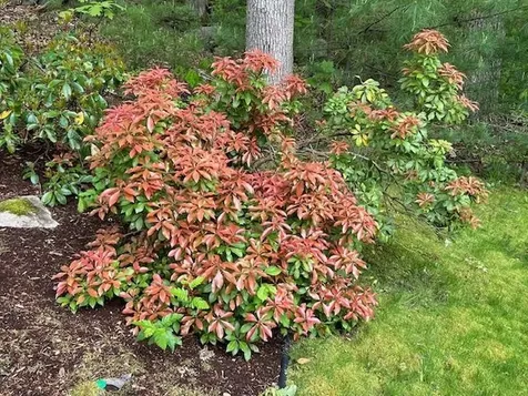 9 Copeland Drive Hudson NH 03051