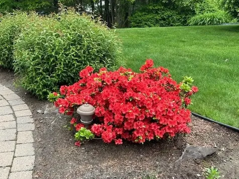 9 Copeland Drive Hudson NH 03051