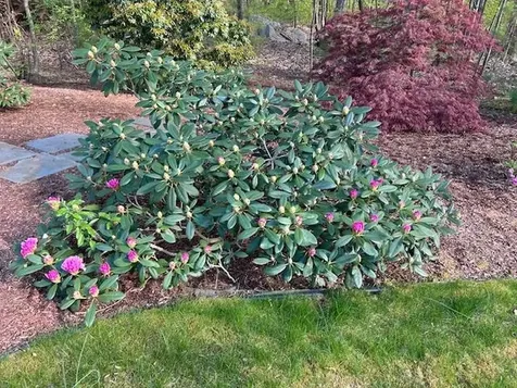 9 Copeland Drive Hudson NH 03051