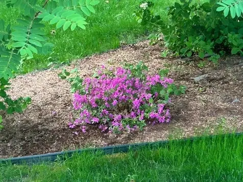 9 Copeland Drive Hudson NH 03051