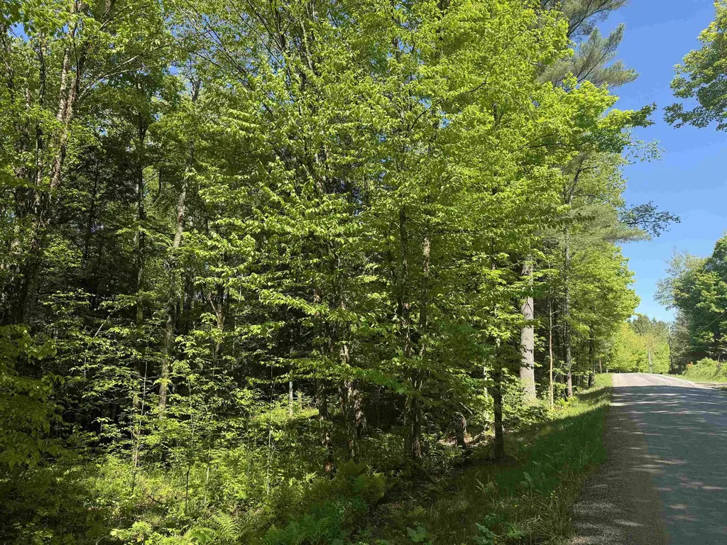 Tbd Plot Road Johnson VT 05656