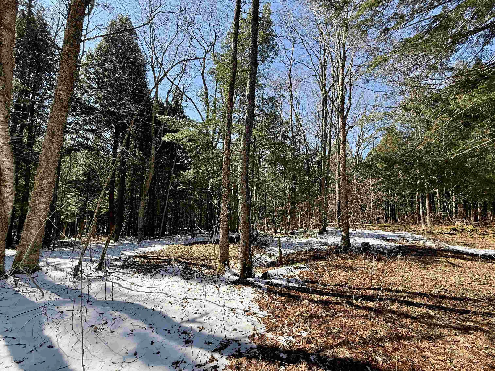 Tbd Plot Road Johnson VT 05656